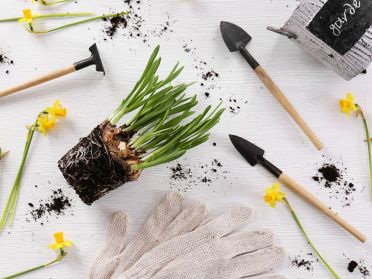 image-illustration-news(4) image-illustration-news(4)